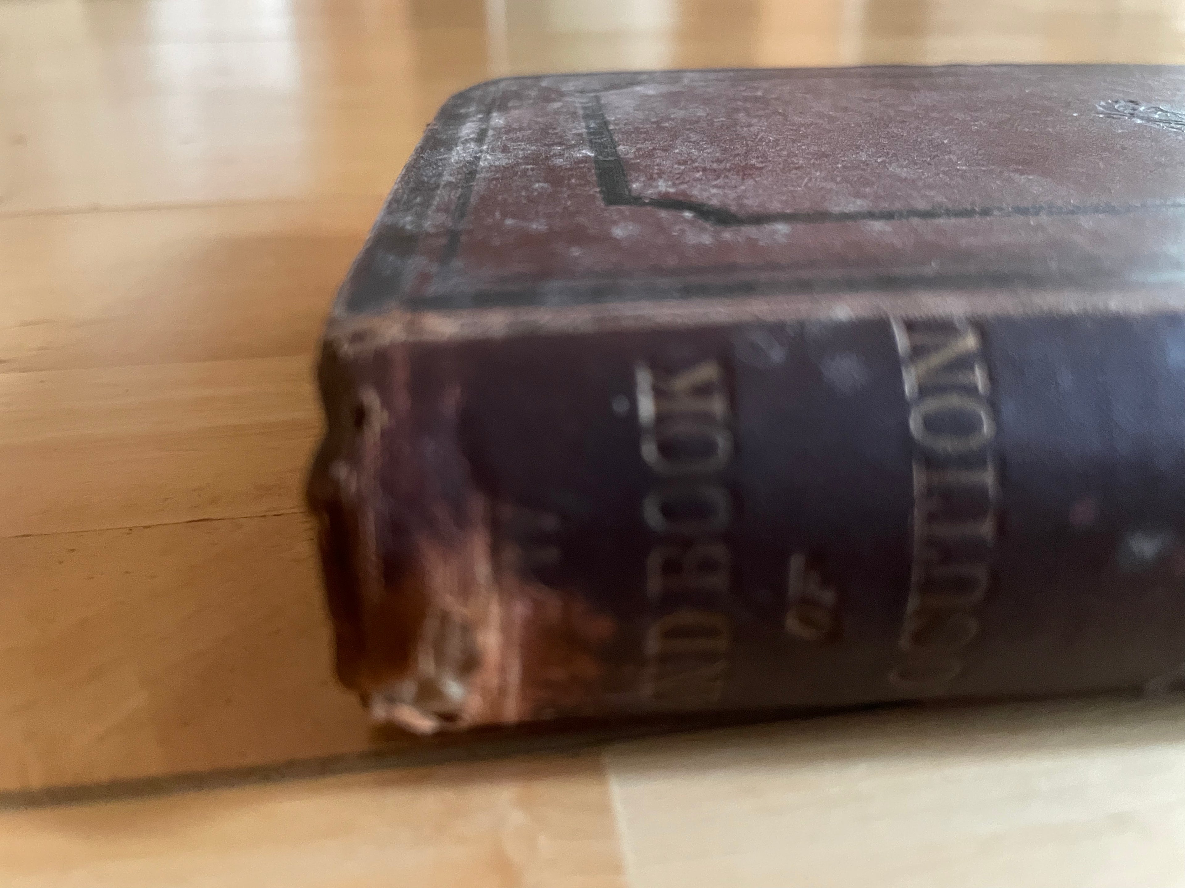 Hand Book Of Elocution