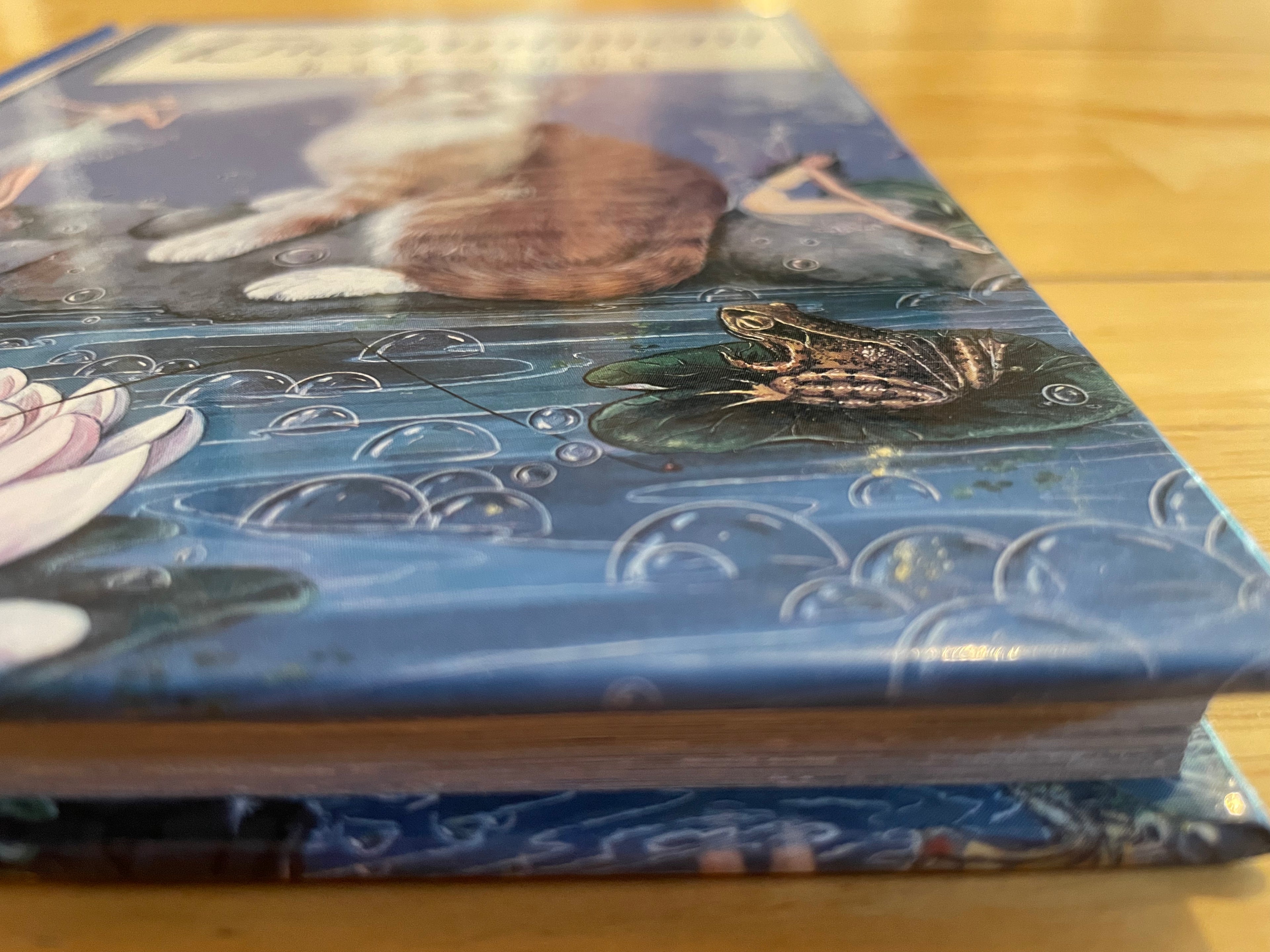 Enchantment Day Book