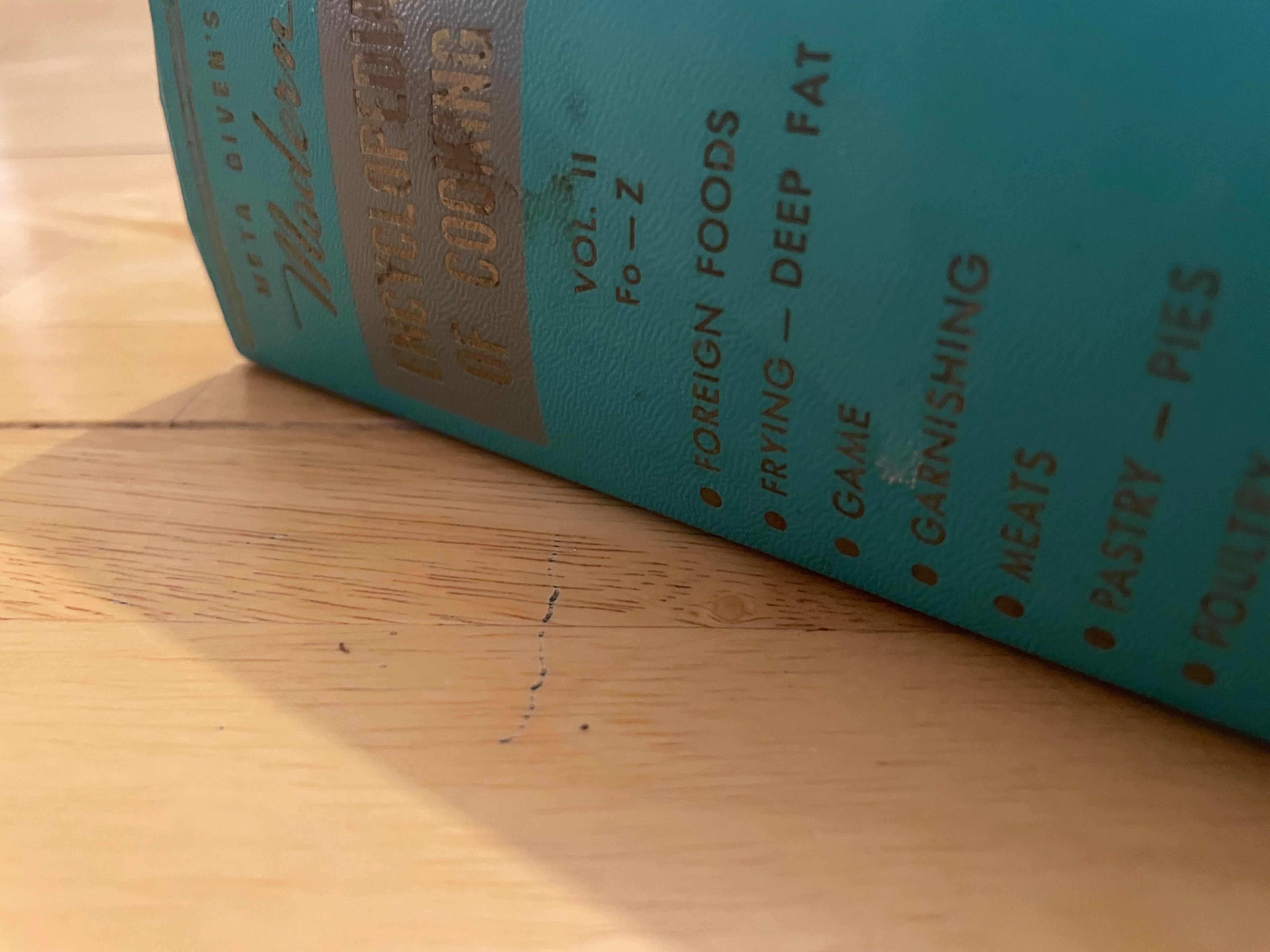 Meta Giver’s Modern Encyclopaedia Of Cooking II
