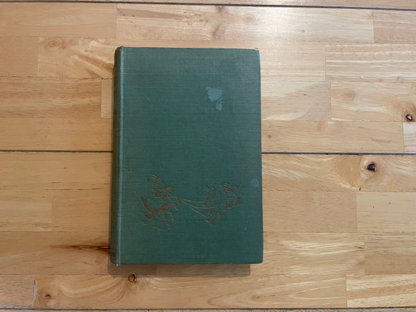 Green Fairy Book