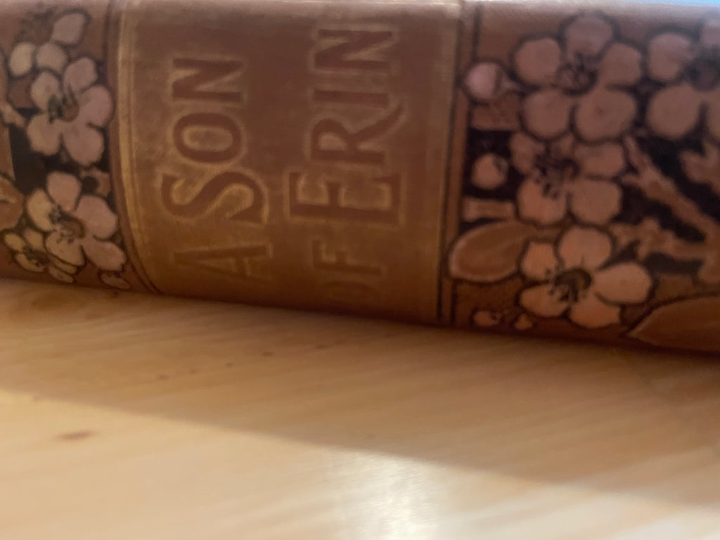 A Son Of Erin