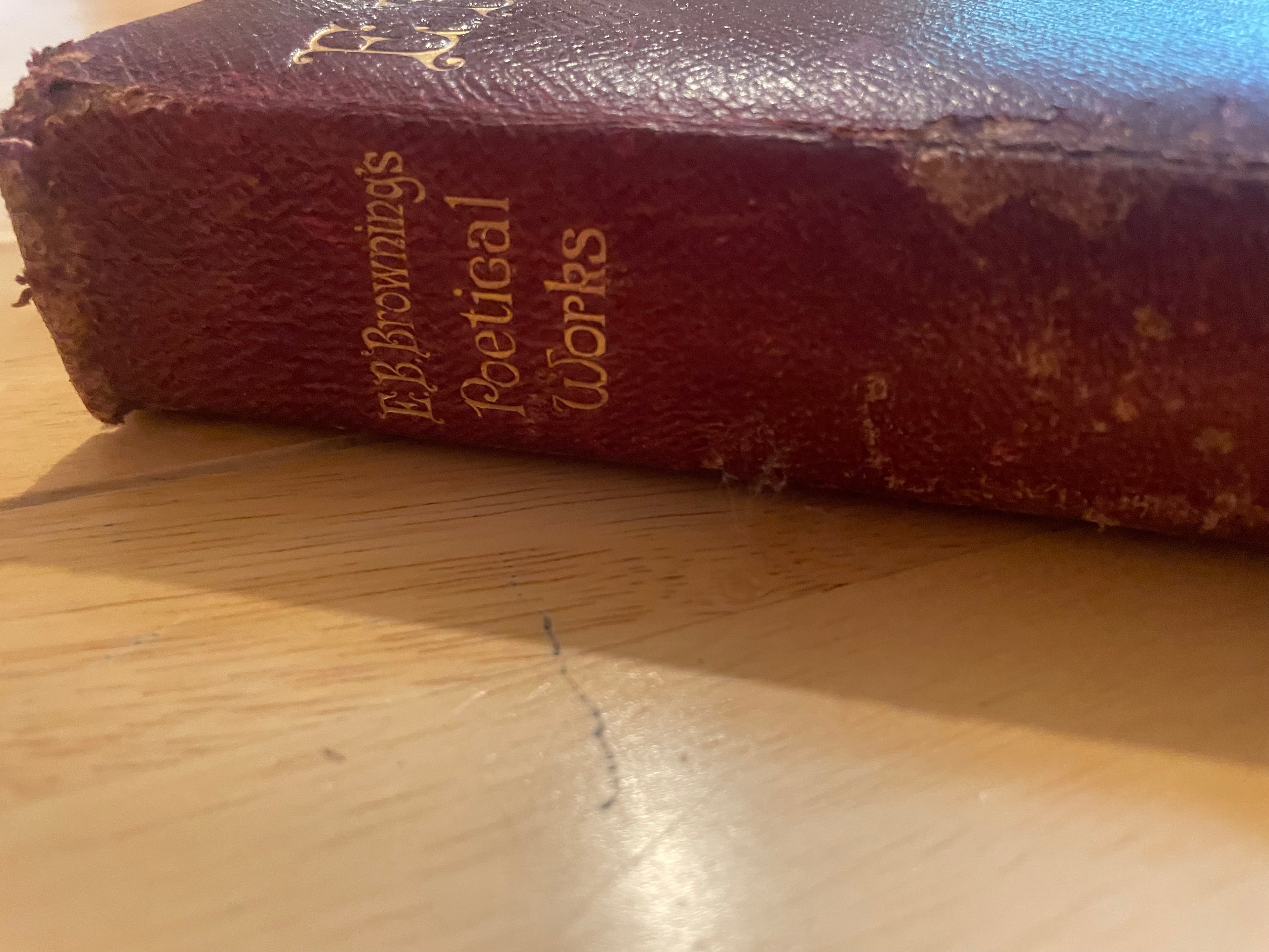 E B Brownie’s Poetics Work
