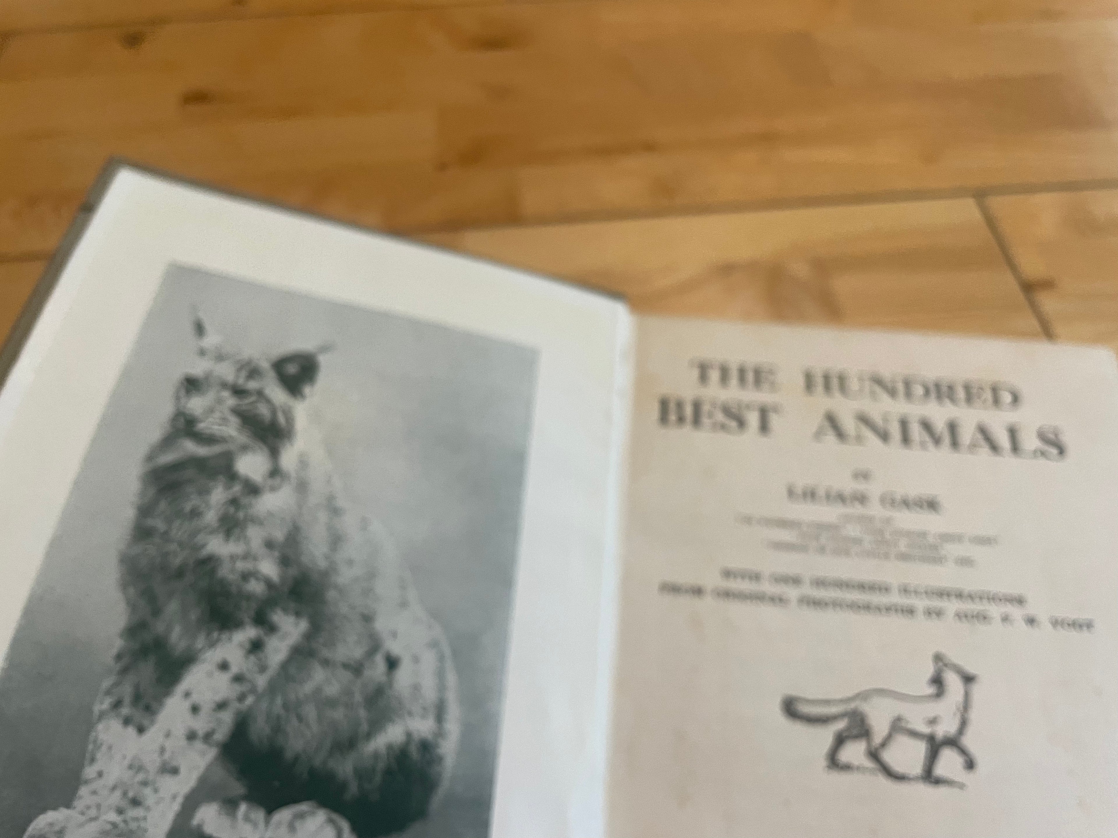 The Hundred Best Animals