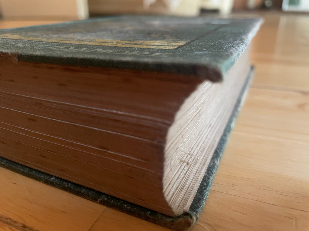 Heroic Lives Of The Nineteenth Century