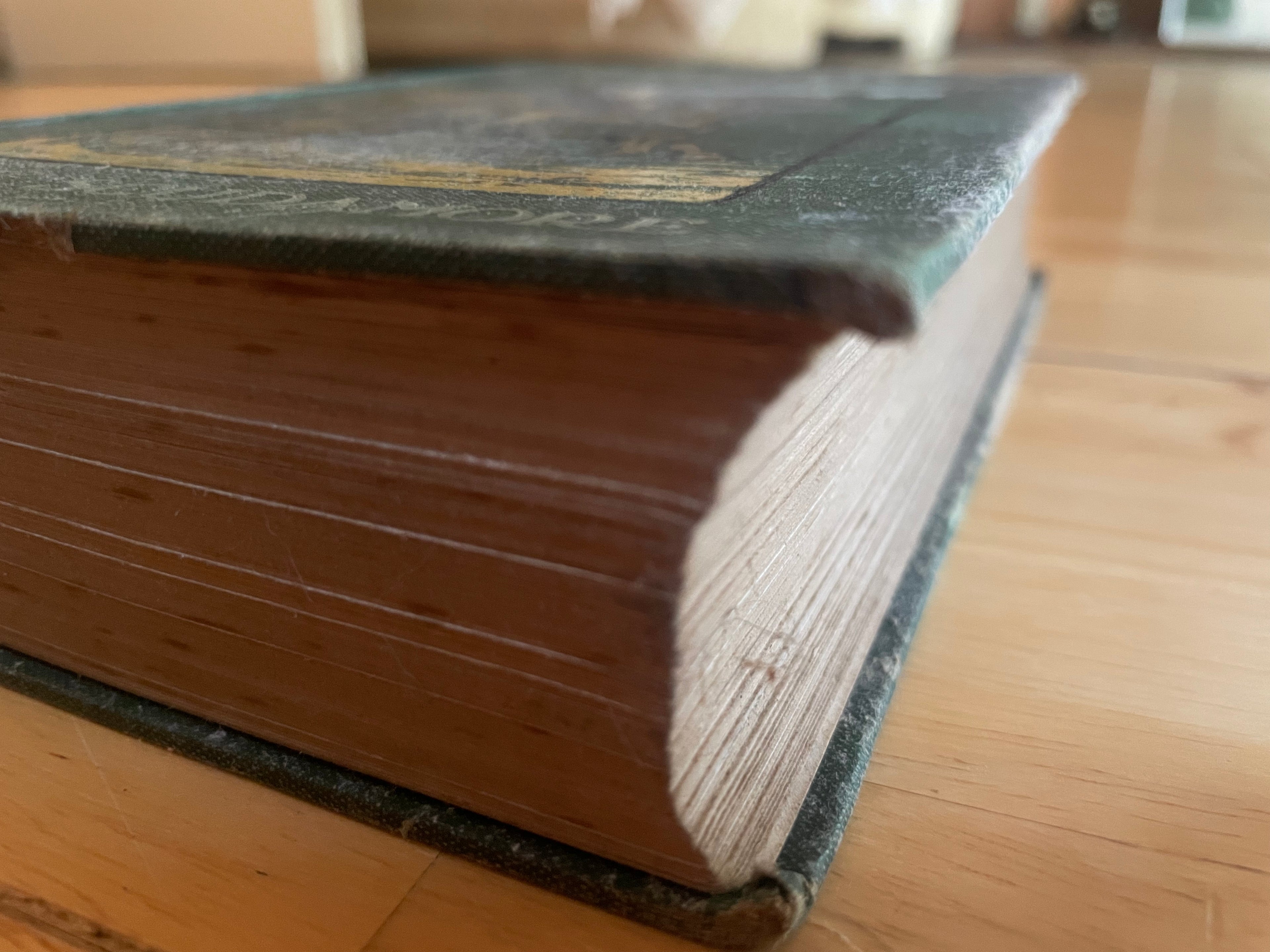 Heroic Lives Of The Nineteenth Century