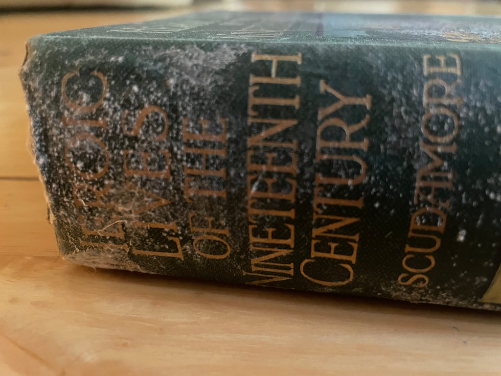 Heroic Lives Of The Nineteenth Century