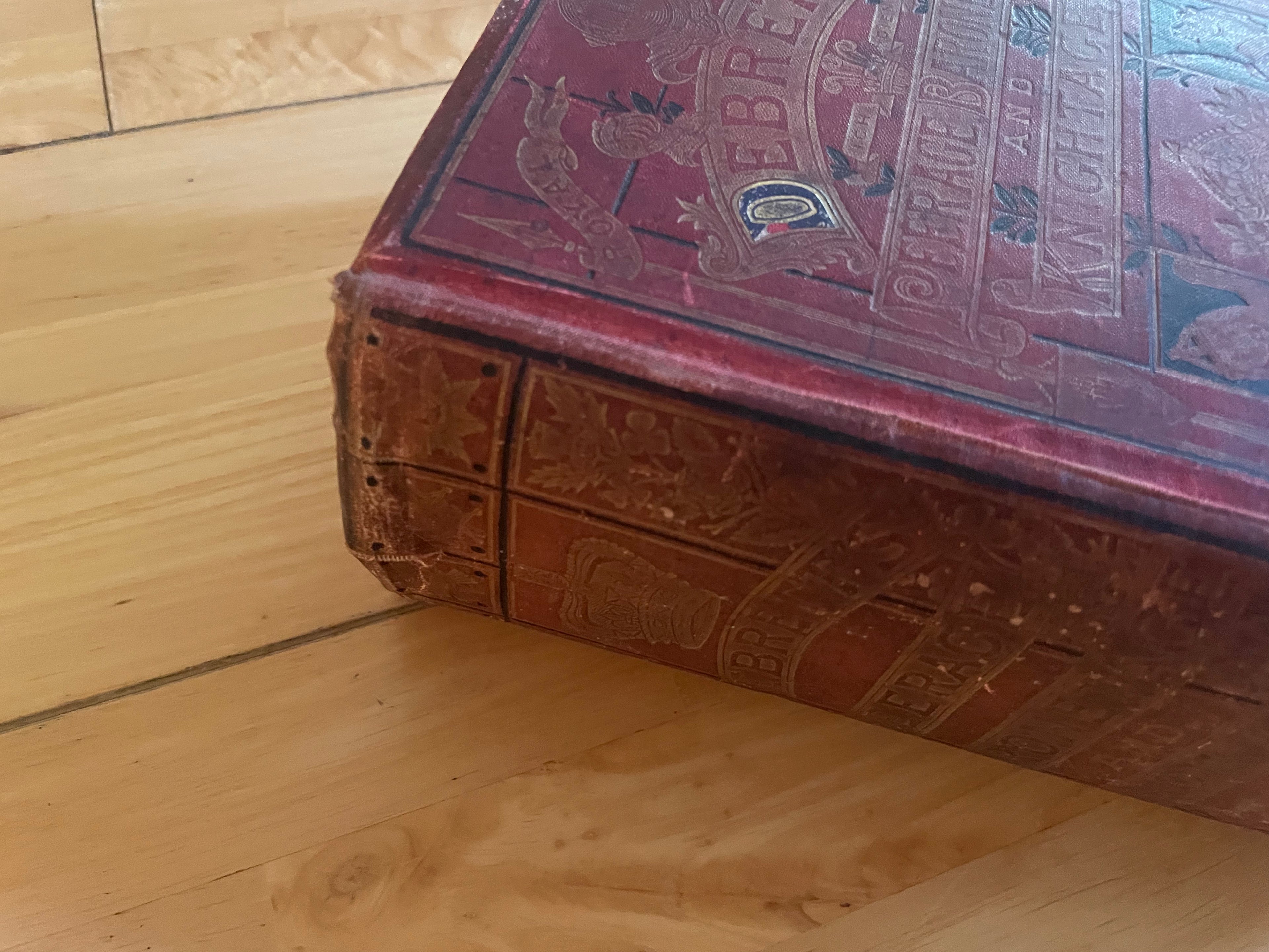 Debrett’s Peerace Baronetage And Knightice Illustrated