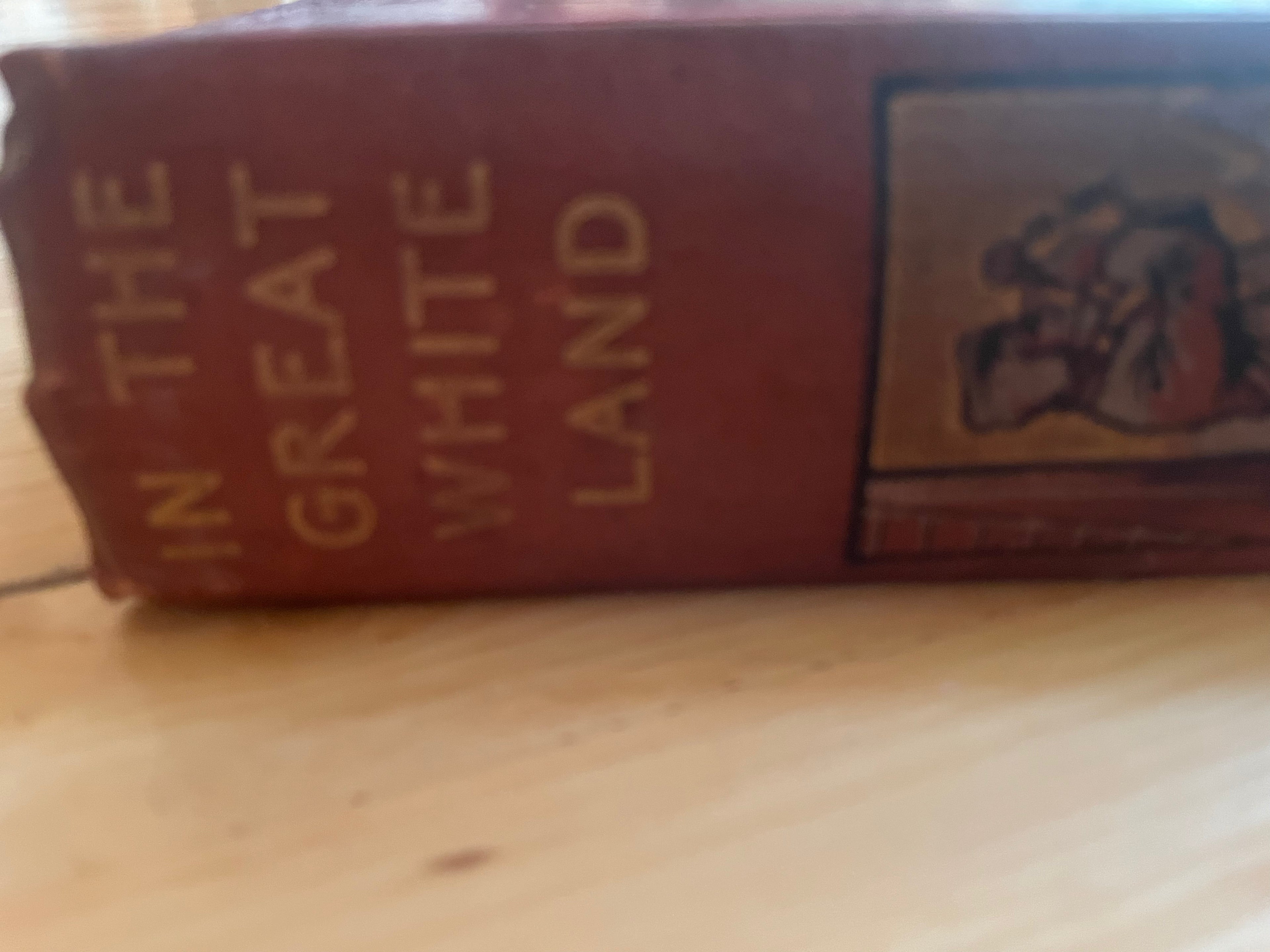 In The Great White Land