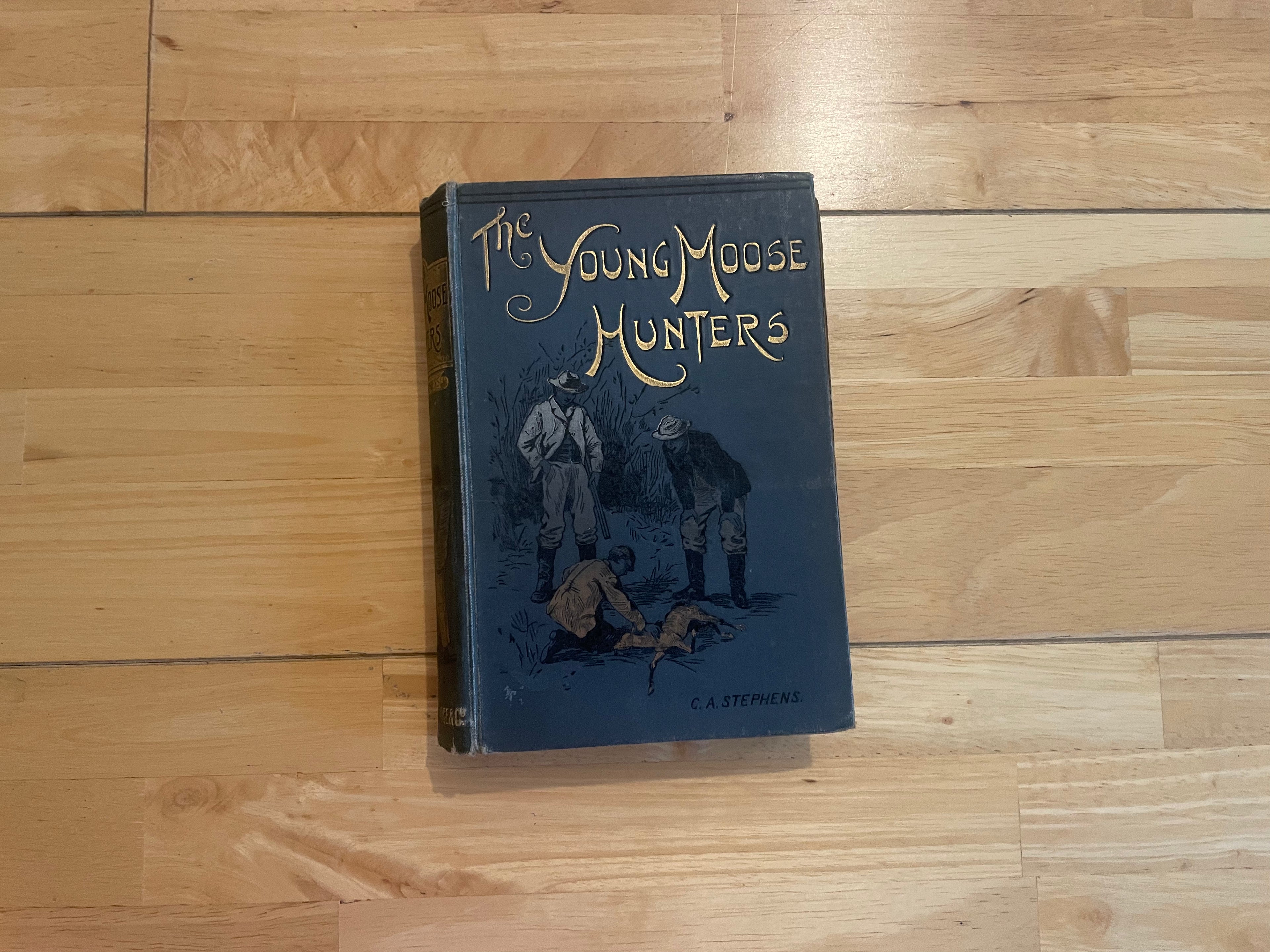 The Young Moose Hunters