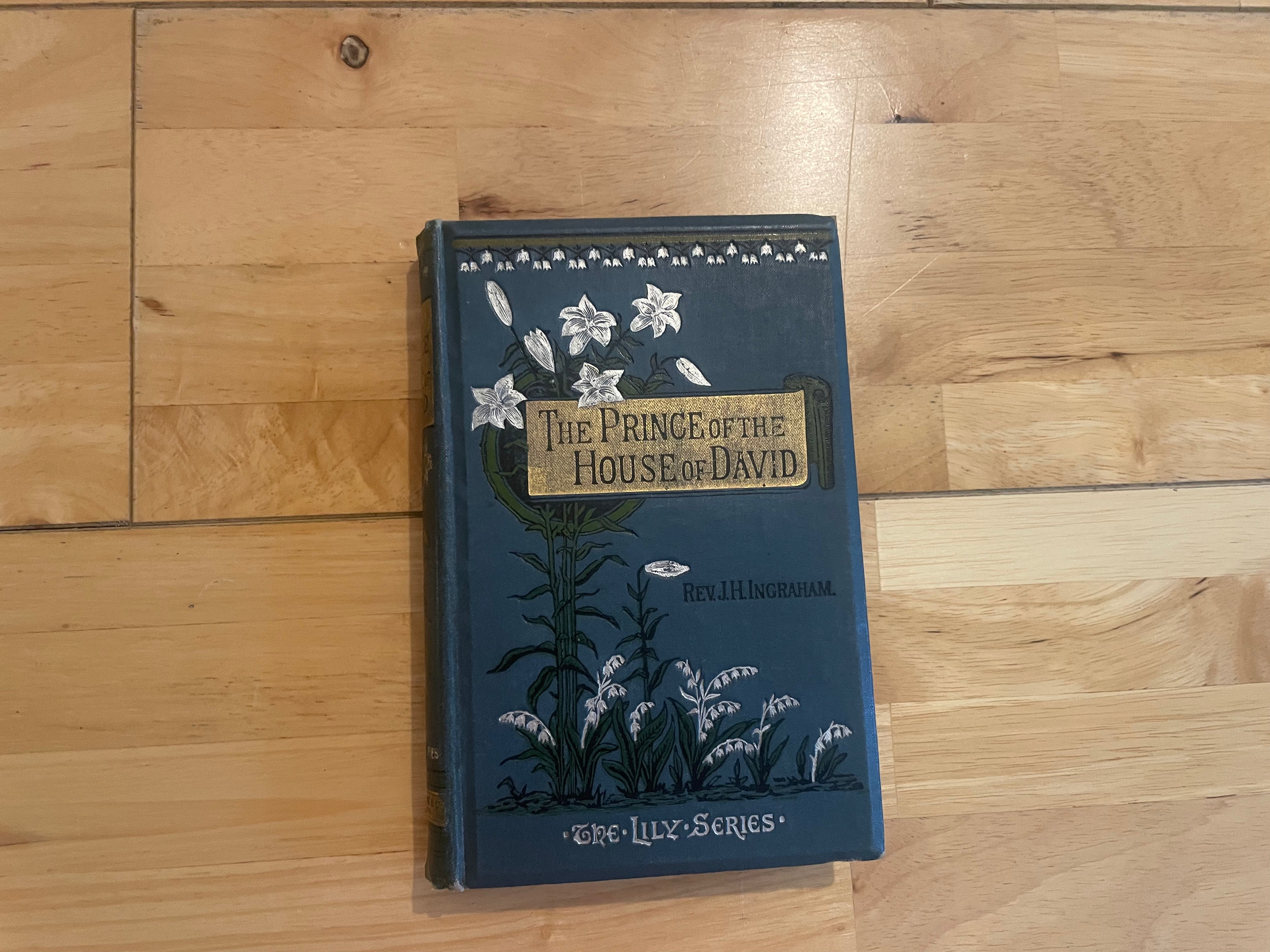 The Prince By The House Of David