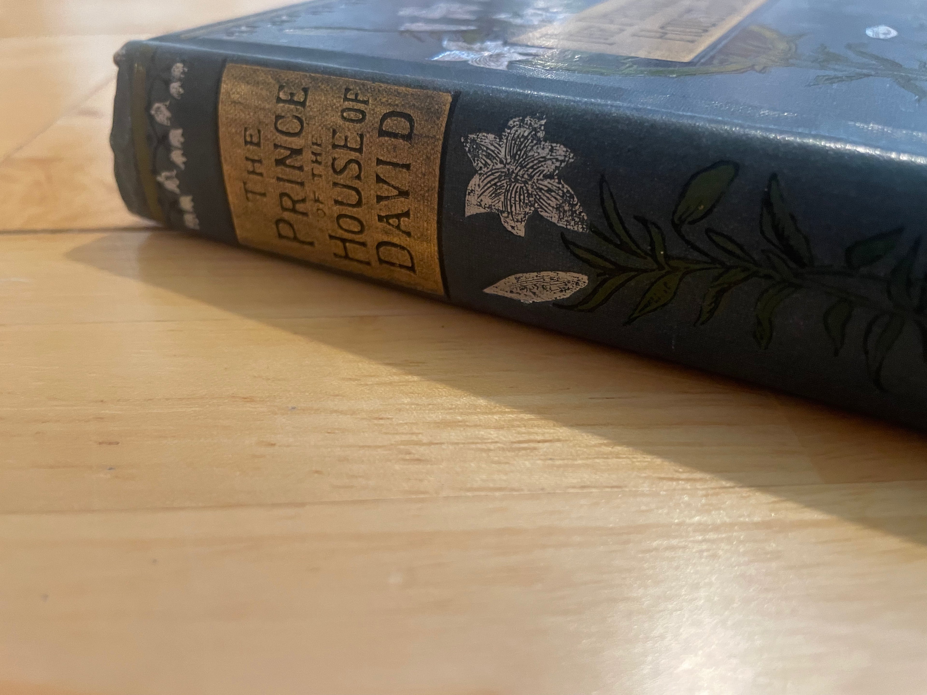 The Prince By The House Of David