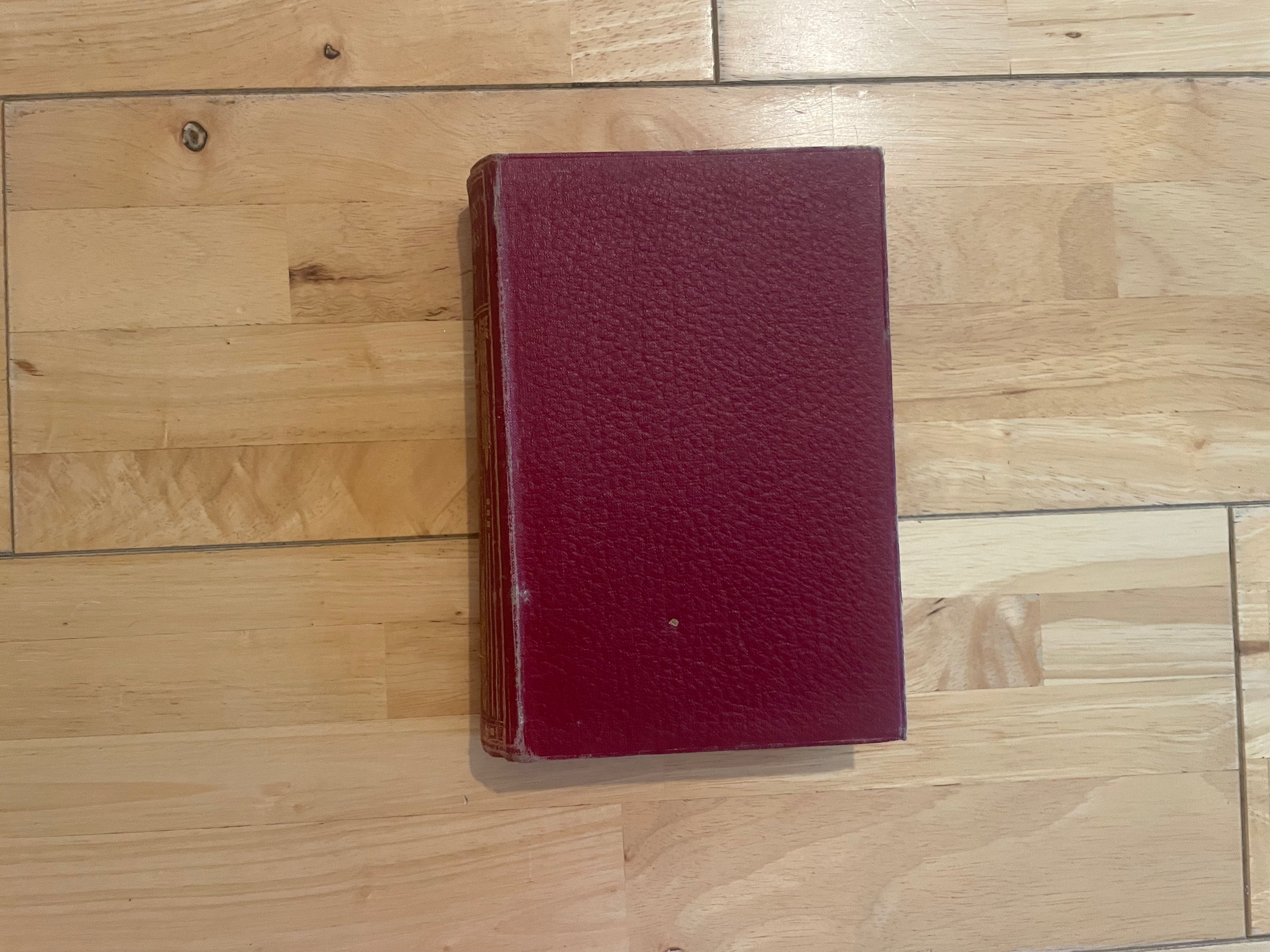 The Pilgrim's Progress